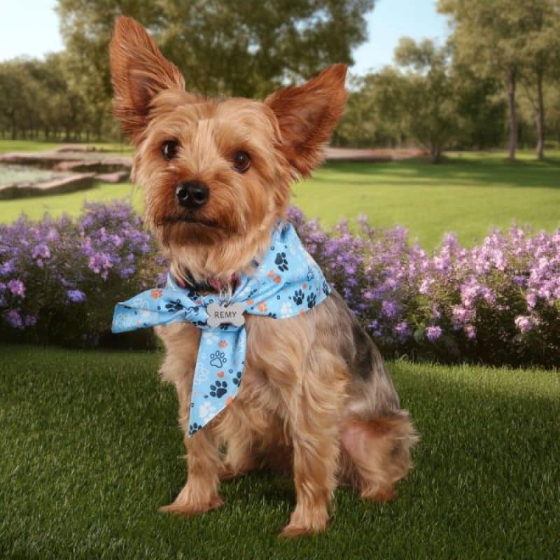 Sublimated Bandana - RPET - 1