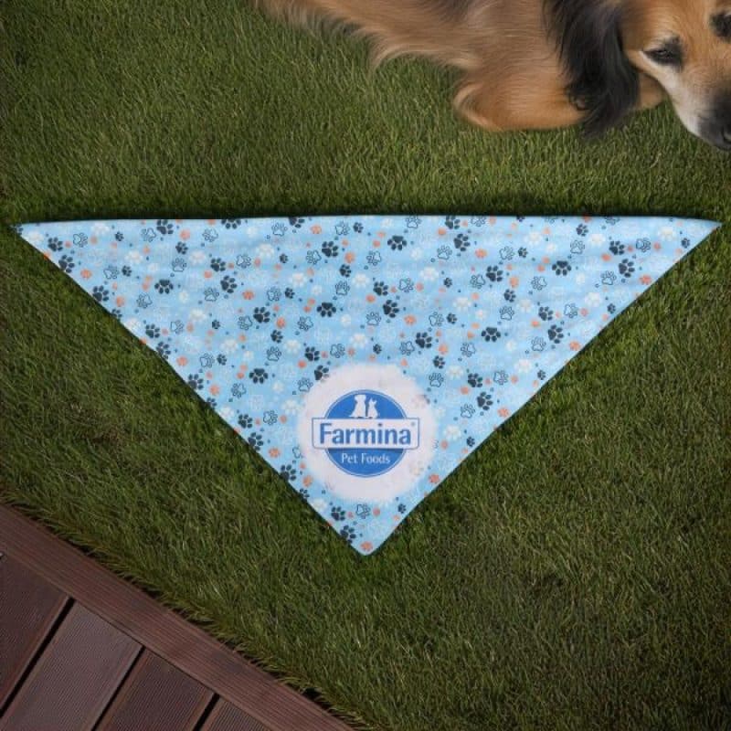 Sublimated Bandana - RPET - 2