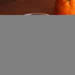 Measurement Shot Glass - 2