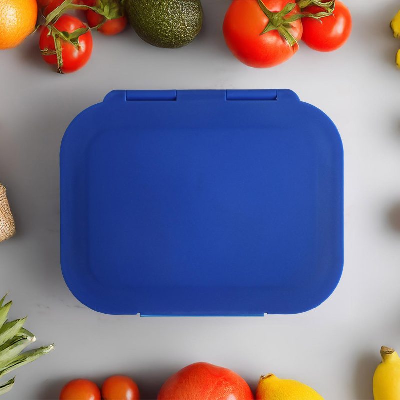Glass Bento Box - 1
