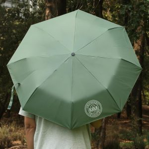 40'' Arc Gem Wooden Handle Automatic Umbrella