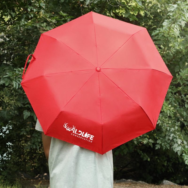 42-Arc-Automatic-Folding-Umbrella-6405EV 42" Arc Automatic Folding Umbrella